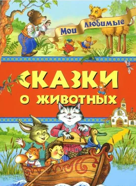 Ирина Петелина Мои любимые сказки о животных обложка книги