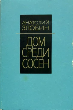 Анатолий Злобин Дом среди сосен обложка книги