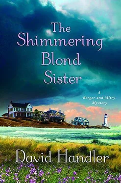 David Handler The shimmering blond sister обложка книги