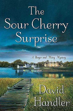 David Handler The sour cherry surprise обложка книги