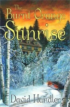 David Handler The burnt orange sunrise обложка книги