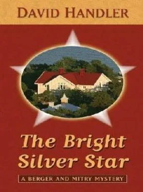 David Handler The Bright Silver Star обложка книги