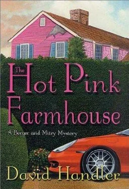 David Handler The Hot Pink Farmhouse обложка книги