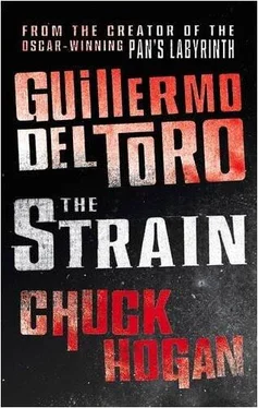 Guillermo del Toro The Strain. Book I of The Strain Trilogy обложка книги