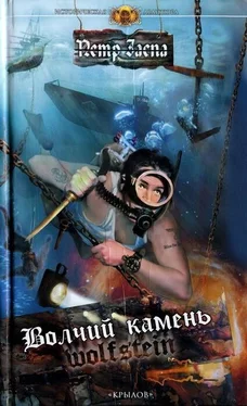 Петр Заспа Волчий камень обложка книги