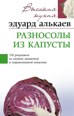 Эдуард Алькаев Разносолы из капусты. 350 рецептов из свежей, квашеной и маринованной капусты обложка книги