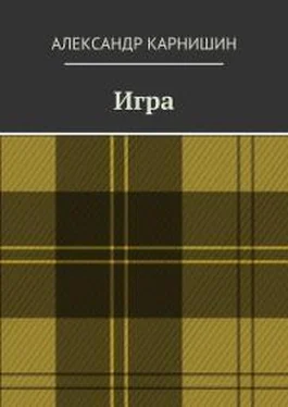 Александр Карнишин 13 плюс обложка книги