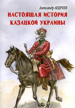 Александр Андреев Настоящая история казацкой Украины обложка книги