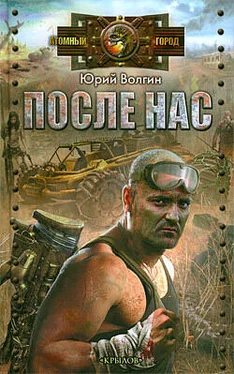 Юрий Волгин После нас обложка книги