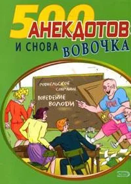 Сборник И снова Вовочка Анекдоты про Вовочку обложка книги