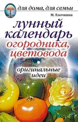 Марина Елочкина - Лунный календарь огородника, цветовода. Оригинальные идеи