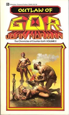 John Norman Outlaw of Gor обложка книги