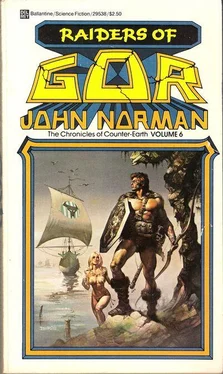 John Norman Raiders of Gor обложка книги