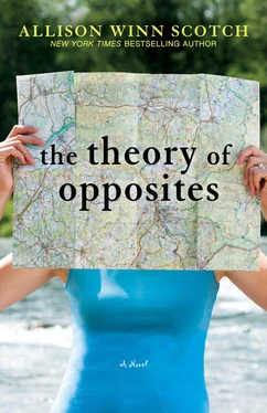 Элисон Скотч The Theory of Opposites обложка книги