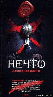 Александр Варго Нечто обложка книги