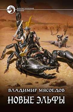 Владимир Мясоедов Новые эльфы обложка книги