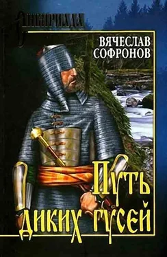 Вячеслав Софронов Путь диких гусей обложка книги