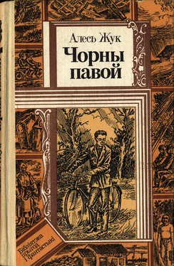 Александр Жук Чорны павой обложка книги