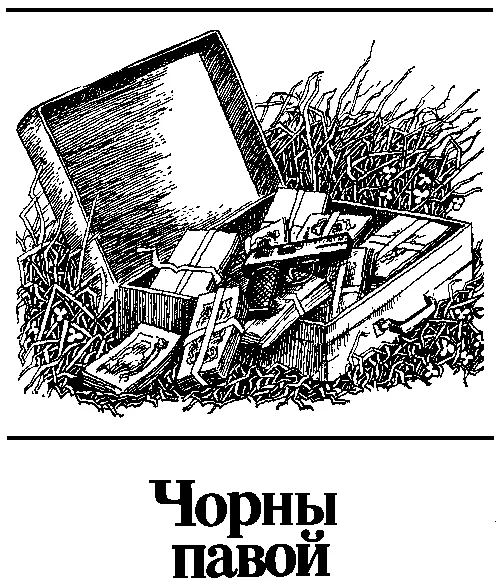 РАЗДЗЕЛ ПЕРШЫ пра тое як журналіст выязджае на расследаванне Туманоўскі не - фото 3