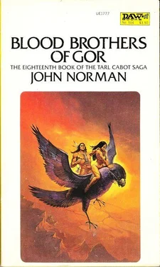 John Norman Blood Brothers of Gor обложка книги