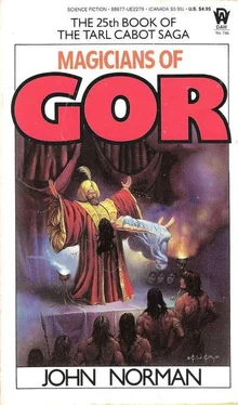 John Norman Magicians of Gor обложка книги