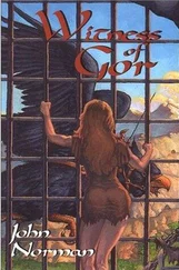John Norman - Witness of Gor