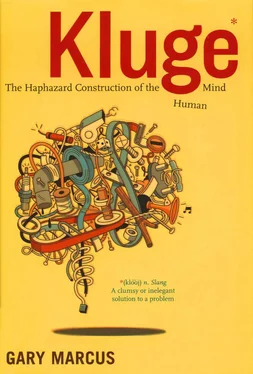 Gary Marcus Kluge: The Haphazard Construction of the Human Mind (Houghton Mifflin; 2008) обложка книги
