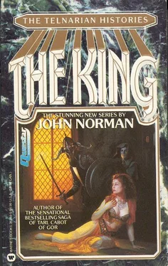 John Norman The King обложка книги