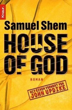 Samuel Shem The house of God обложка книги