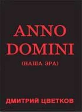 Дмитрий Цветков Anno domini обложка книги