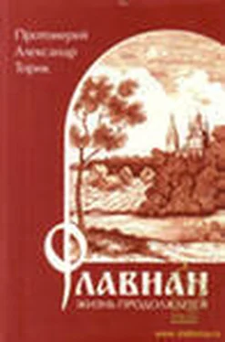 Александр Торик Флавиан. Жизнь продолжается обложка книги