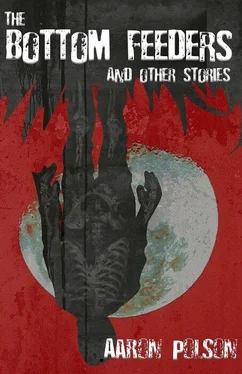 Aaron Polson The Bottom Feeders and Other Stories обложка книги