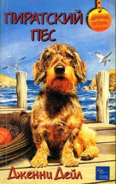 Дженни Дейл Пиратский пес обложка книги
