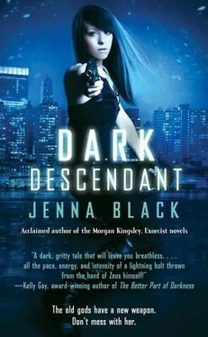 Jenna Black Dark Descendant обложка книги
