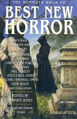 Stephen Jones - The Mammoth Book of Best New Horror. Vol 15
