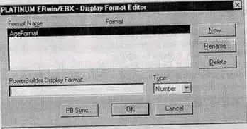 Рис 2110 Диалог Display Format Editor 242 Генерация кода в Visual - фото 226