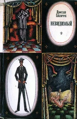 Ярослав Гавличек - Невидимый