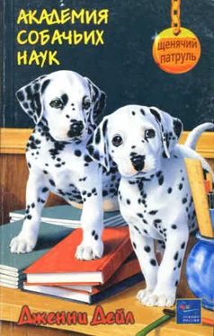 Дженни Дейл Академия собачьих наук обложка книги