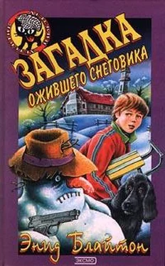 Энид Блайтон Загадка ожившего снеговика обложка книги