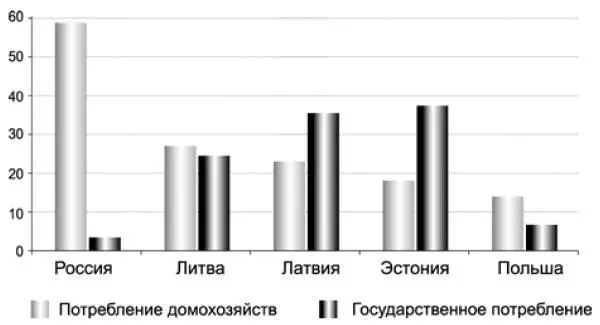 Рис 6 Динамика частного и государственного потребления 2004 к 2009 г В - фото 8