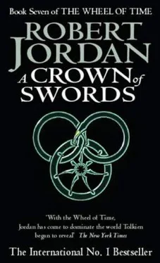 Robert Jordan A Crown of Swords обложка книги