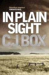 C Box - In Plain Sight