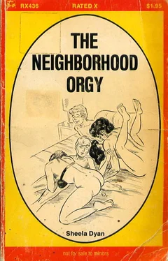 Sheela Dyan The neighborhood orgy обложка книги