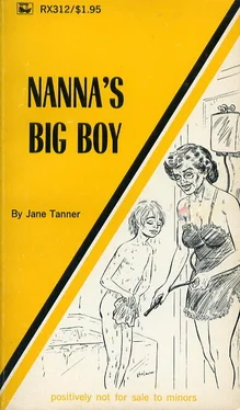 Jane Tanner Nanna_s big boy обложка книги