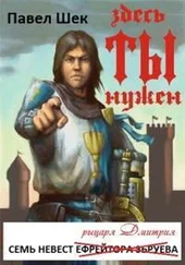 Павел Шек - Семь невест рыцаря Дмитрия. Часть первая [СИ]