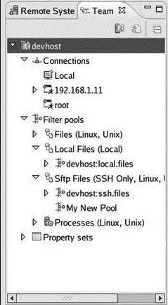 Figure 610 RSE Team view Creating a new profile is trivial Click the New - фото 91