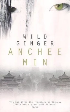 Anchee Min Wild Ginger