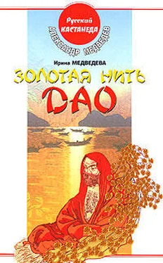 Александр Медведев Золотая нить Дао обложка книги