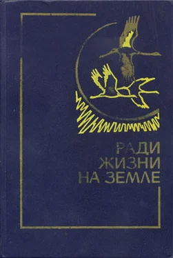 Николай Грибачев Здравствуй, комбат! обложка книги