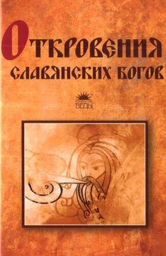 Тимур Прозоров Откровения славянских богов обложка книги